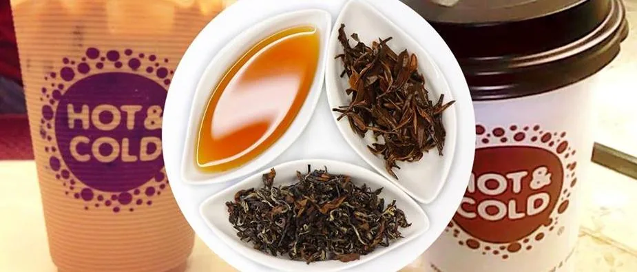 Ly trà sữa Hot & Cold bên đĩa nước trà, lá trà khô và trà cuộn